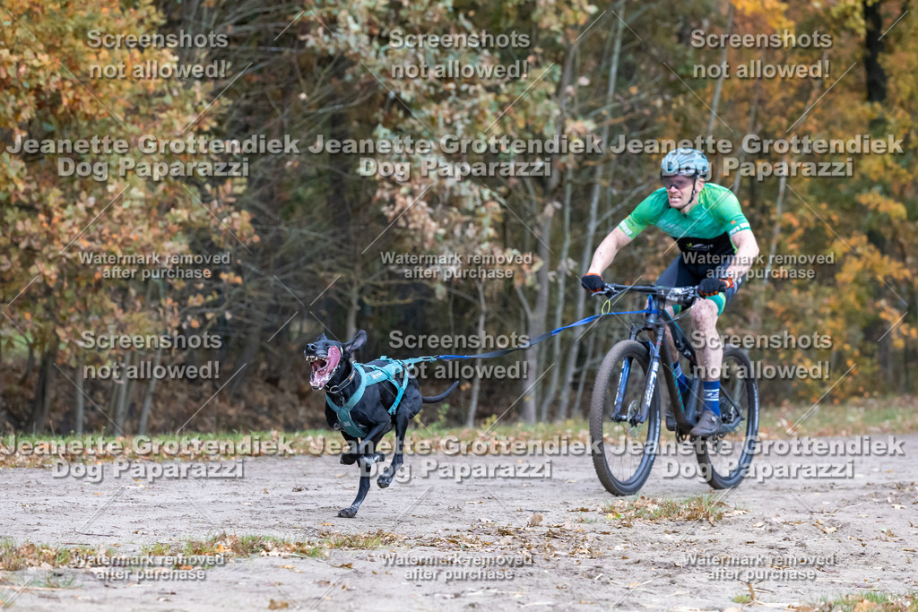 Dog Paparazzi - SD CaniX Championship 2025-210 | Dog Paparazzi Jeanette Grottendiek Fotografie & Videografie - Realisiert mit Pictrs.com