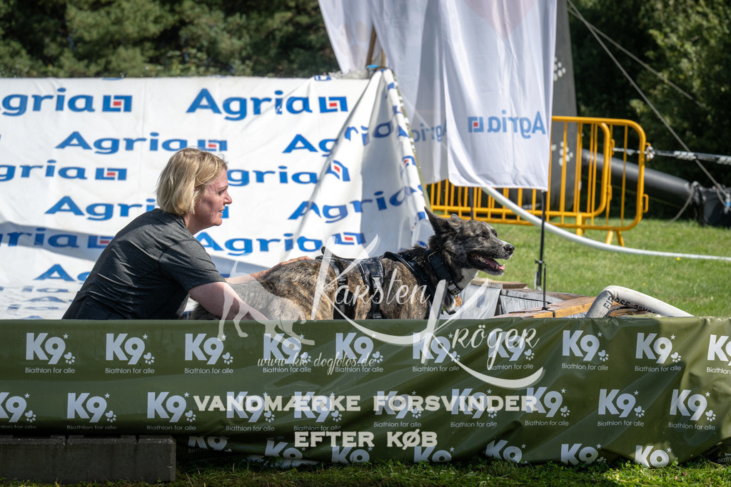 1150_ZZ94256 | kk-dogfotos