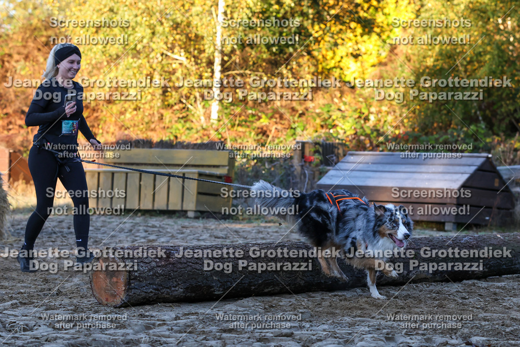 Dog Paparazzi - Strongdog 10-25-539 | Dog Paparazzi Jeanette Grottendiek Fotografie & Videografie - Realisiert mit Pictrs.com