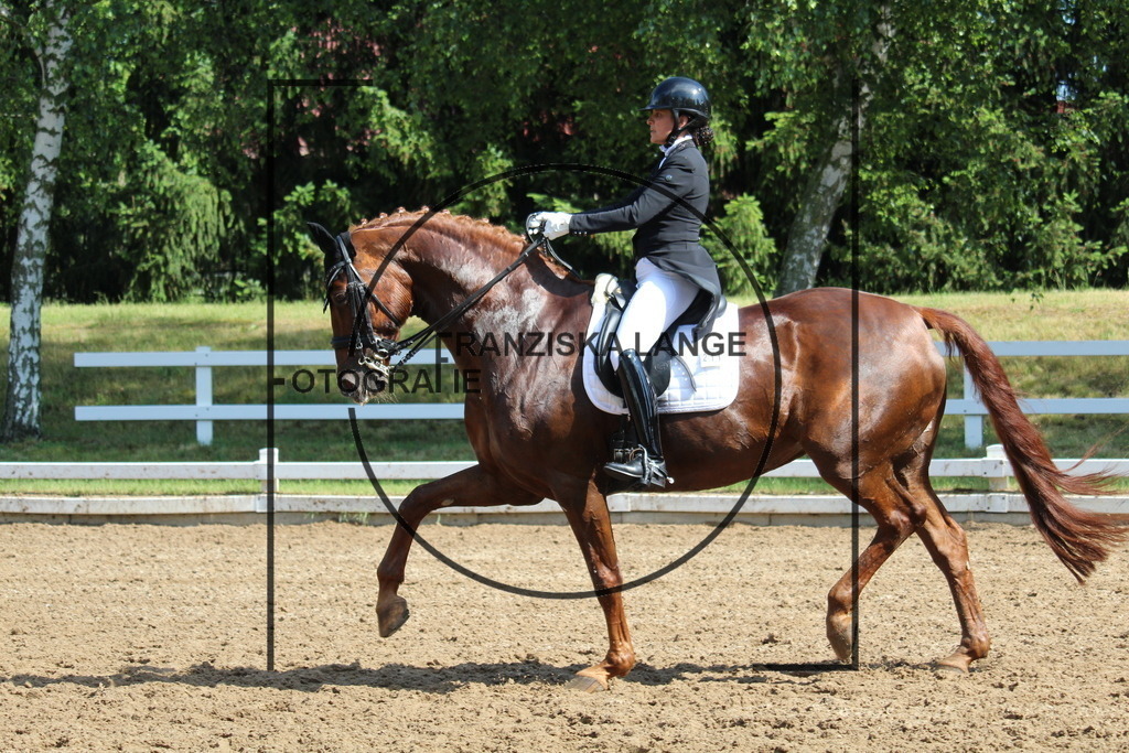 IMG_6821 | franziskalange - Realisiert mit Pictrs.com