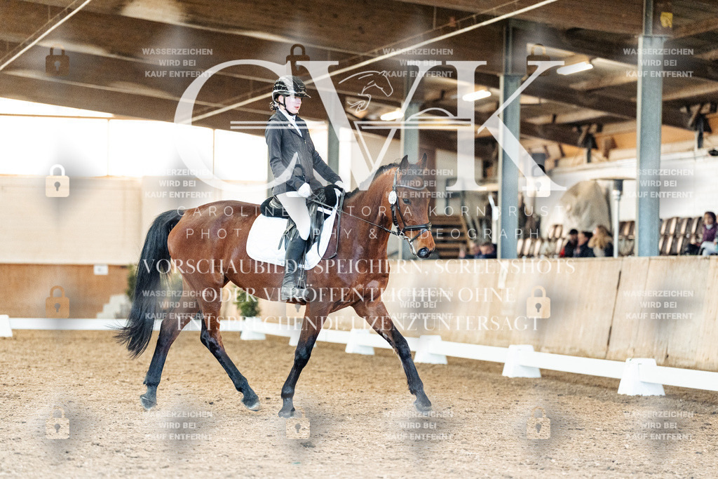 CK908702 | Turnierfotografie Pferdefotografie Trier Rheinland-Pfalz Pferdesport Reitsport Tierfotografie Sportfotografie Pferdevideo Pferdevideografie Equestrianvideography equestrianphotography  - Realisiert mit Pictrs.com