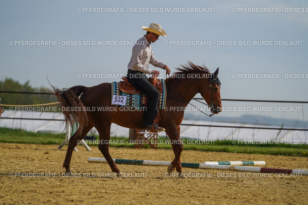 DSC01508 | Pferdegrafie