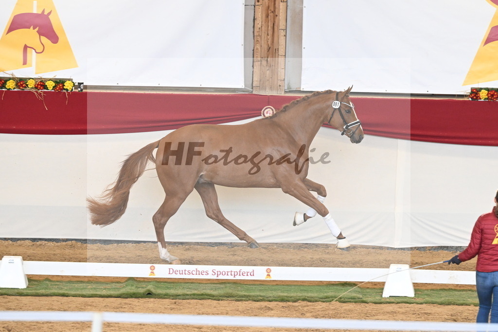 Kat.-Nr. 91 v. Zackerey_May_3261384 | hf-fotografie - Realizzato con Pictrs.com