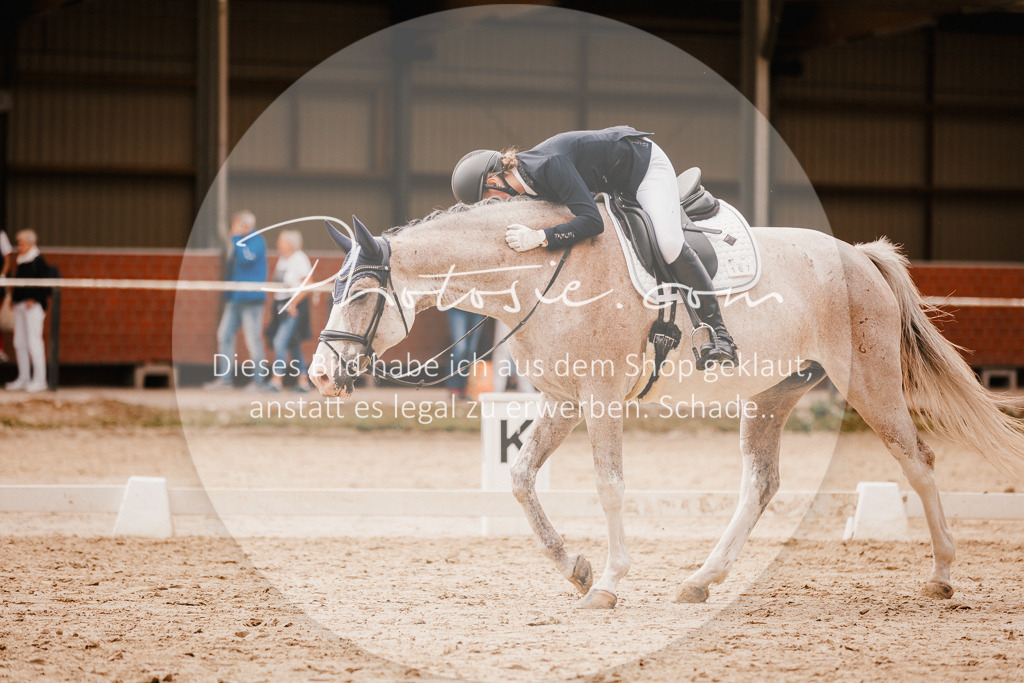 3I6A6190 | Stimmungsvolle Portraits und Reitsportfotografie im Ruhrgebiet und im Münsterland.

Pferdefotografie, Hundefotografie, Tierfotografie, Reportagen, Portraits von Tier und Mensch, Turnierfotografie in Bochum, Recklinghausen, Marl, Haltern am See, Dülmen.. - Realisiert mit Pictrs.com