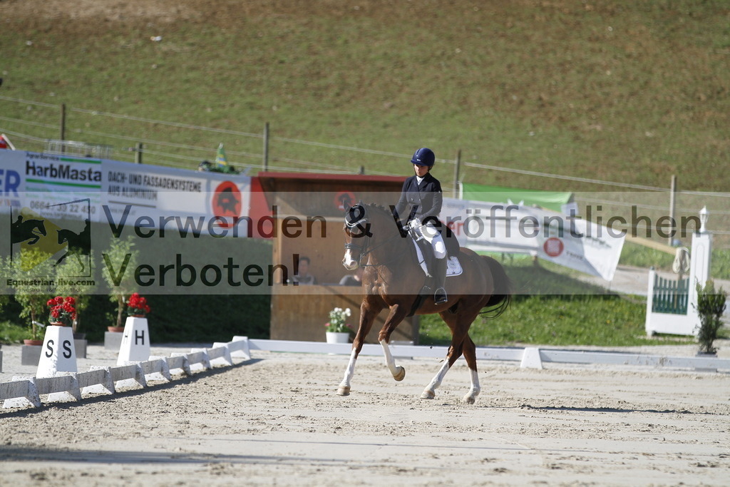 _MG_3061 | equestrian-live-com