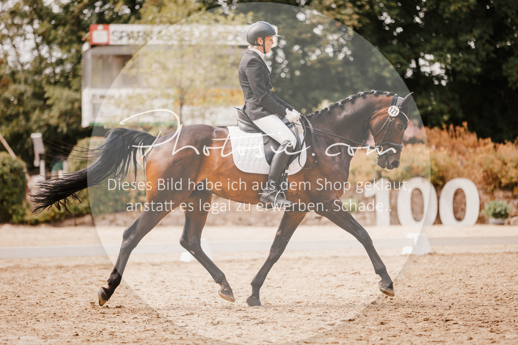 3I6A6241 | Stimmungsvolle Portraits und Reitsportfotografie im Ruhrgebiet und im Münsterland.

Pferdefotografie, Hundefotografie, Tierfotografie, Reportagen, Portraits von Tier und Mensch, Turnierfotografie in Bochum, Recklinghausen, Marl, Haltern am See, Dülmen.. - Realisiert mit Pictrs.com