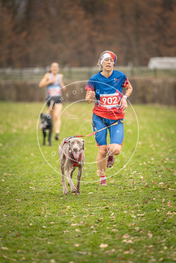 CaniXpix_DV3A6884 | Hundefotografie, Tierfotograf, Pfotenfotografie, Fotoshooting Hund, Hunde Portrait, Hundesport, Hundeportraits, Heideshooting, Hunde, Sportfotograf, Hundefotograf, Turnierhundsport, THS,  - Realisiert mit Pictrs.com