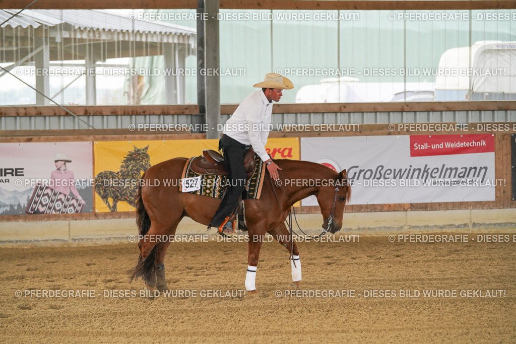 DSC07710 | Pferdegrafie