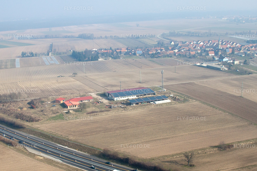 Luftbild: Hühnerhof in Erlenbach bei Kandel im Bundesland Rheinland-Pfalz in Deutschland. Foto: IMG_37601.jpg vom 05.03.2011 durch Werner Riehm/FLY-FOTO.de