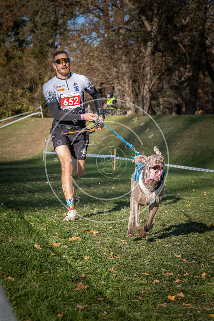 CaniXpix_0L8A9114 | Hundefotografie, Tierfotograf, Pfotenfotografie, Fotoshooting Hund, Hunde Portrait, Hundesport, Hundeportraits, Heideshooting, Hunde, Sportfotograf, Hundefotograf, Turnierhundsport, THS,  - Realisiert mit Pictrs.com