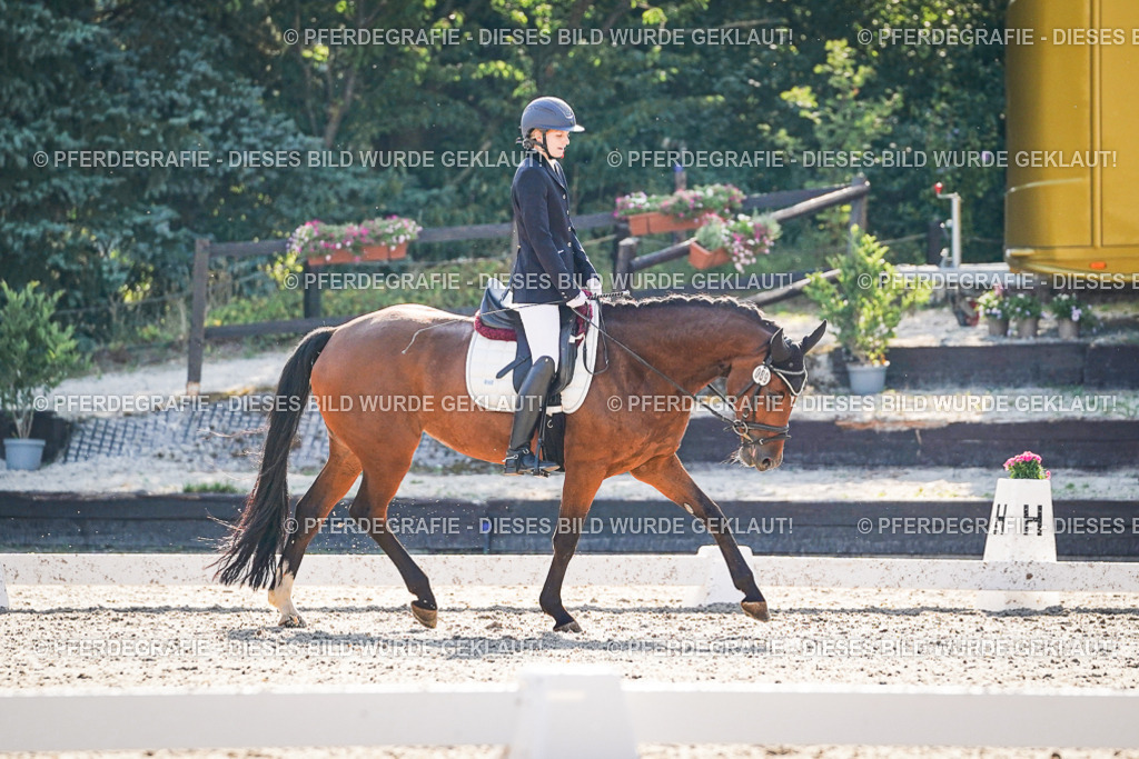 DSC09260 | Pferdegrafie