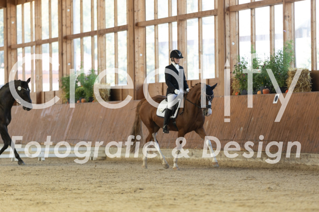 IMG_9550 | Creatify Fotografie