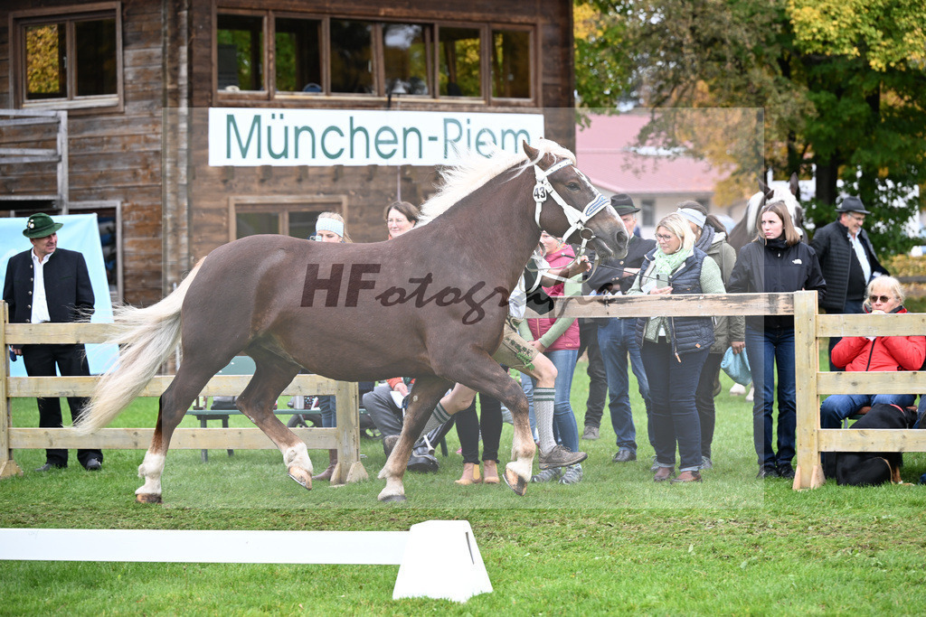 Kat-Nr. 43 Adell v. Verry_Erhart_41251066 | hf-fotografie - Realizzato con Pictrs.com
