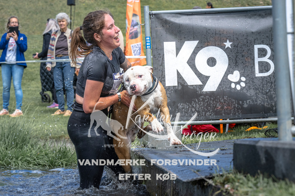 1102_ZZ90454 | kk-dogfotos