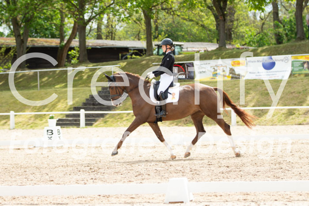 IMG_2281 | Creatify Fotografie