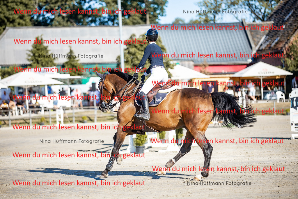 BK1A8201 | Turnierbilder Turnierfotos Nina Hüffmann Turnierfotografie Pferdefotografie Tierzeichnung Haustierzeichnung Pferdezeichnung Hundezeichnung Videograf  - Realisiert mit Pictrs.com
