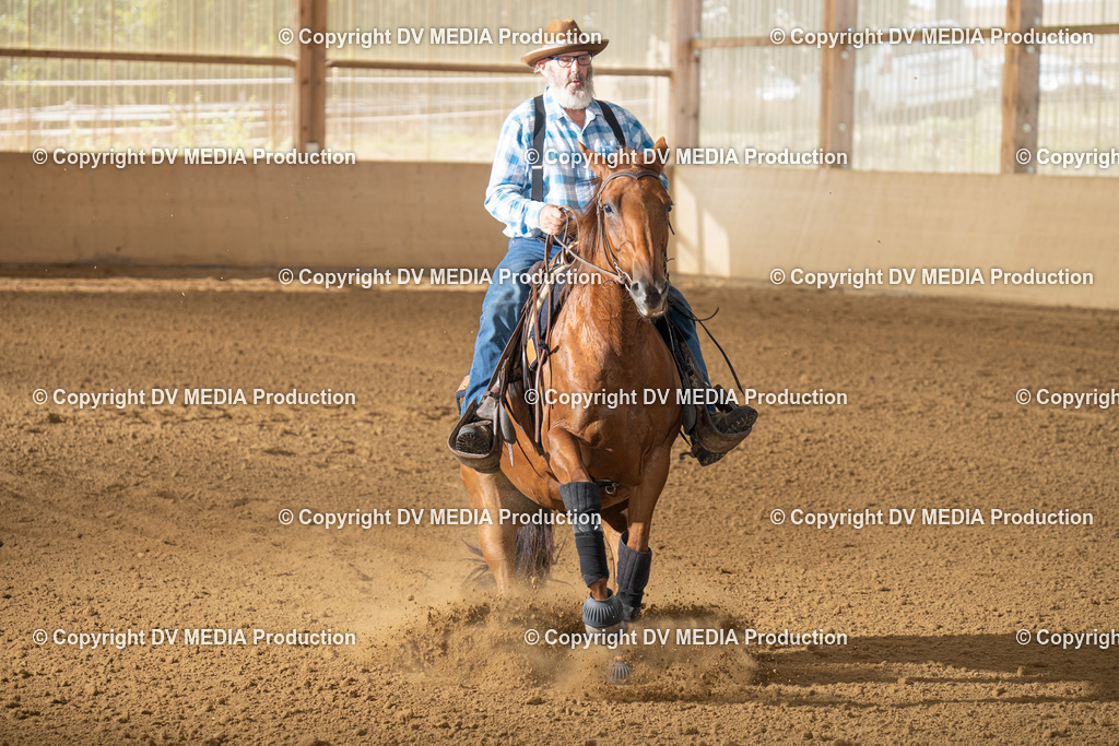 LAU01679 | dv-media-shop - Realisiert mit Pictrs.com