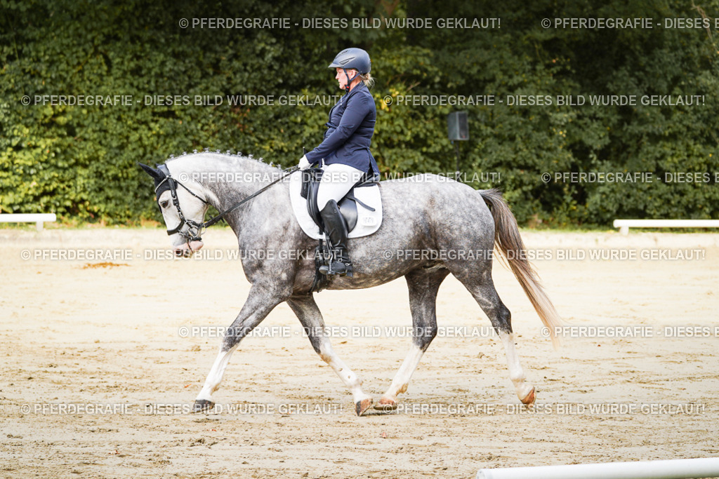 DSC01553 | Pferdegrafie