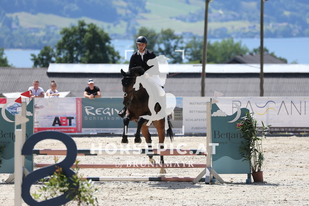 PP017197 | Willkommen bei Brunnmayr - Design & Fotografie – Ihrem Spezialisten für Reitturniere und Pferdeveranstaltungen in Oberösterreich, Salzburg und Bayern! Seit über 17 Jahren sind wir leidenschaftlich dabei.