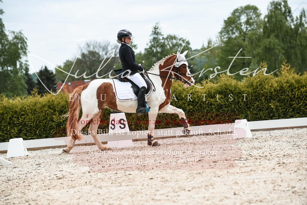 20230518_JK-Röhrsdorf-10-662 | Pferde- und Turnierfotografie in Westsachsen. Pferdeportraits, Auftragszeichnungen und intuitive Kunst.