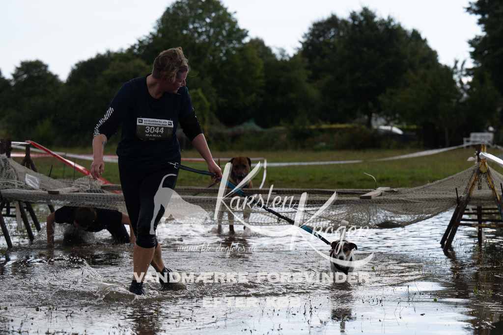 1348_ZZ90050 | kk-dogfotos