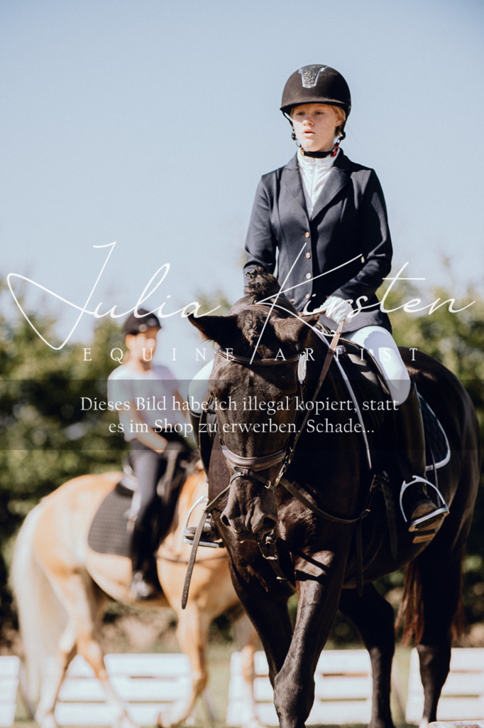 DSC_7253 | Pferde- und Turnierfotografie in Westsachsen. Pferdeportraits, Auftragszeichnungen und intuitive Kunst.