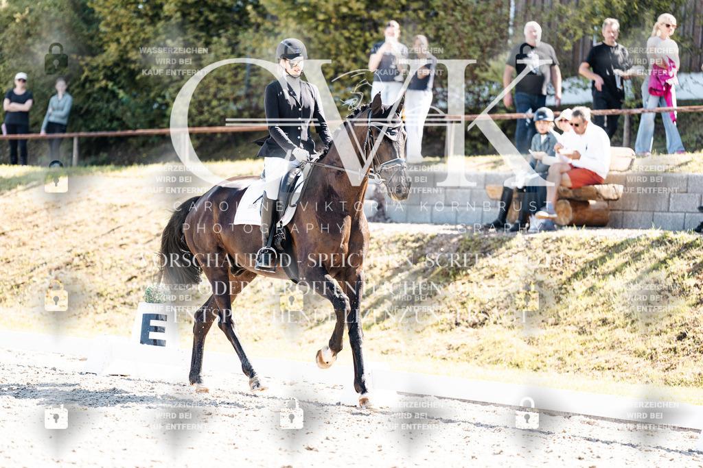 CK909411 | Turnierfotografie Pferdefotografie Trier Rheinland-Pfalz Pferdesport Reitsport Tierfotografie Sportfotografie Pferdevideo Pferdevideografie Equestrianvideography equestrianphotography  - Realisiert mit Pictrs.com