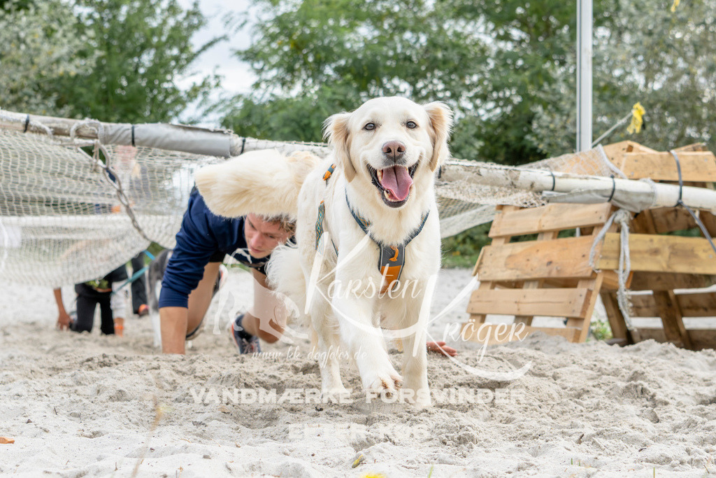 1520_ZZ94424 | kk-dogfotos