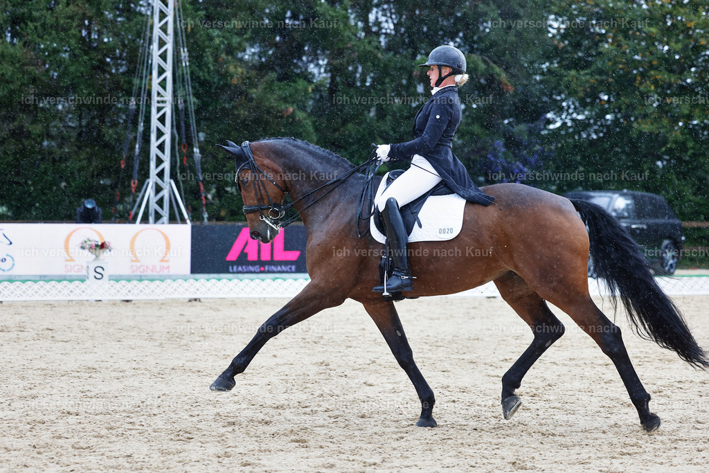 8_1-020-Klasse S_  -StoibPH-3989 | working equitationturnier fotograf videograf stoibphotography marixx film working equitation deutschland reitsport turnierfotografie eventfotografie equestrian events