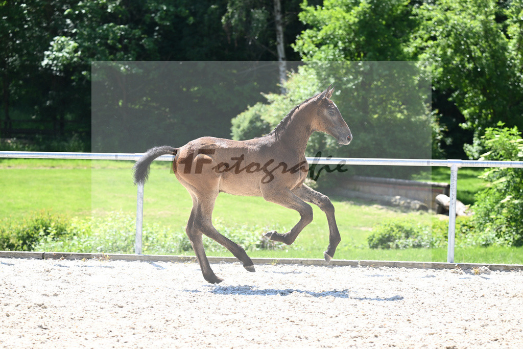 Kat-Nr. 10 HF Comme il faut_Hackl-Kneer_16230379 | hf-fotografie - Realisiert mit Pictrs.com