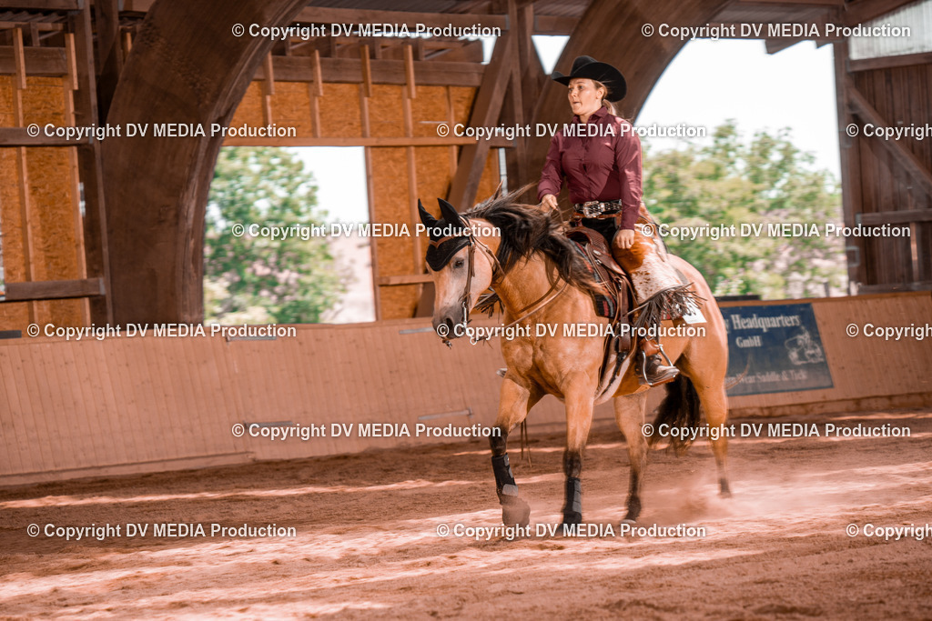 NE100704 | dv-media-shop - Realisiert mit Pictrs.com