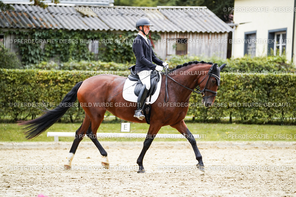 DSC08368 | Pferdegrafie