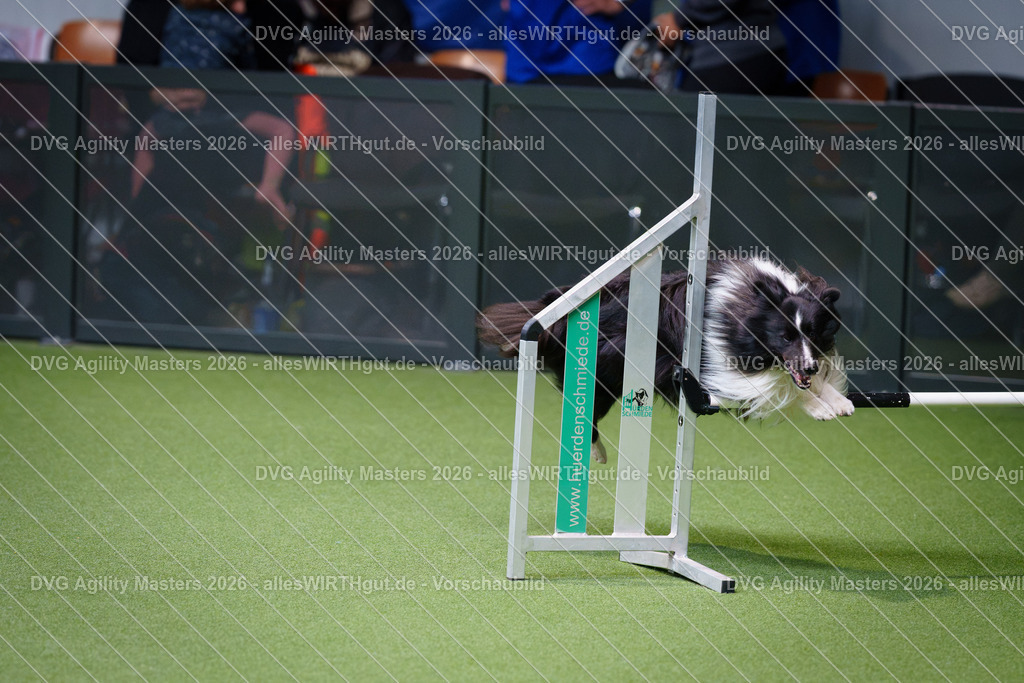 allesWIRTHgut_Tierfotografie-DVG_Agility_Masters_2026-11_40-7R506732 | Professionelle Tierfotografie in Mönchengladbach von Daniel Wirth (allesWIRTHgut). Liebevolle & natürliche Bilder von Hunden & Katzen für unvergessliche Erinnerungen.