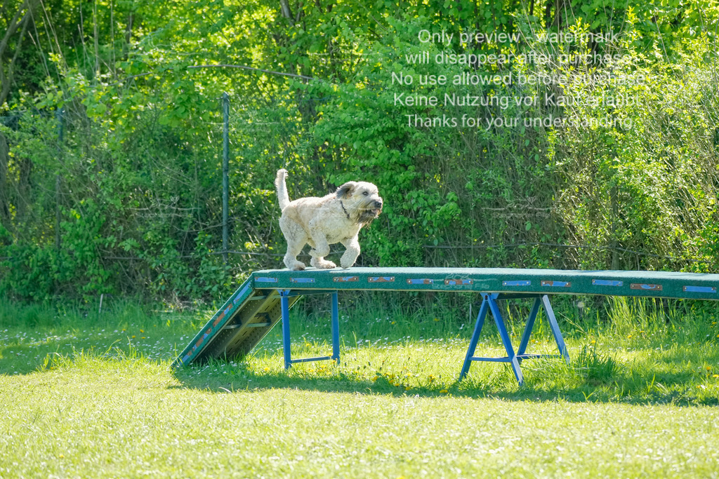 Sa_VK3_03-48 | stephaniefillaphotographie - Realisiert mit Pictrs.com