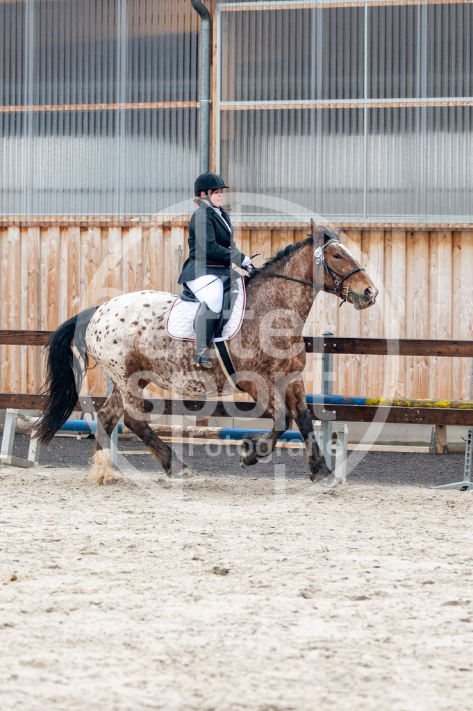 DSC_4951 | sattelsport - Realisiert mit Pictrs.com