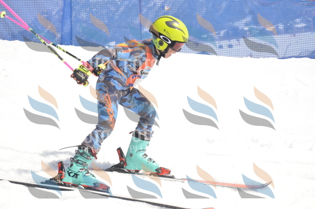 _ELE9341 | holidayphoto