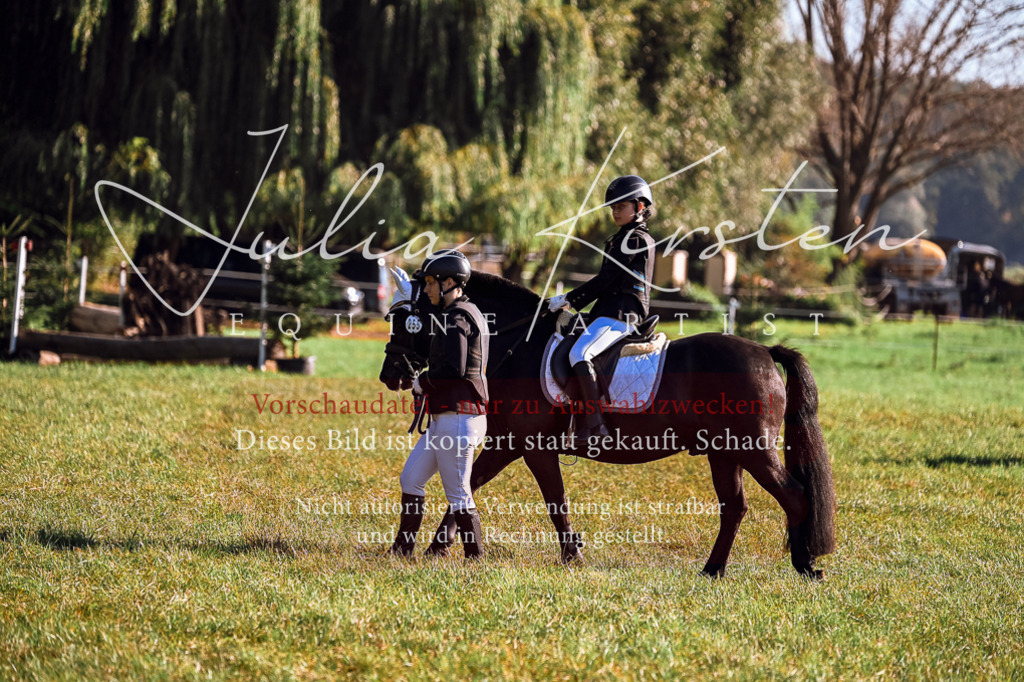 DSC_0349 | Pferde- und Turnierfotografie in Westsachsen. Pferdeportraits, Auftragszeichnungen und intuitive Kunst.
