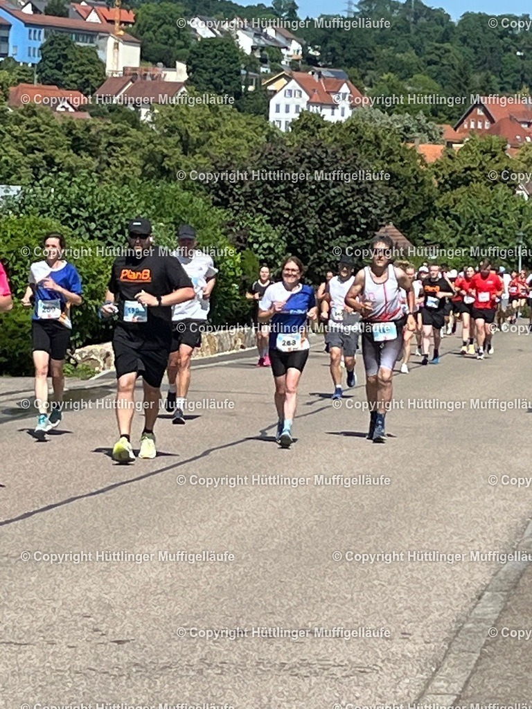 0d01bd44-c358-4de9-98ea-99715740bd45 | Hüttlinger Muffigelläufe - Realisiert mit Pictrs.com