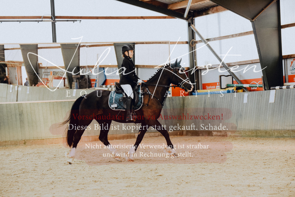 DSC_7355 | Pferde- und Turnierfotografie in Westsachsen. Pferdeportraits, Auftragszeichnungen und intuitive Kunst.