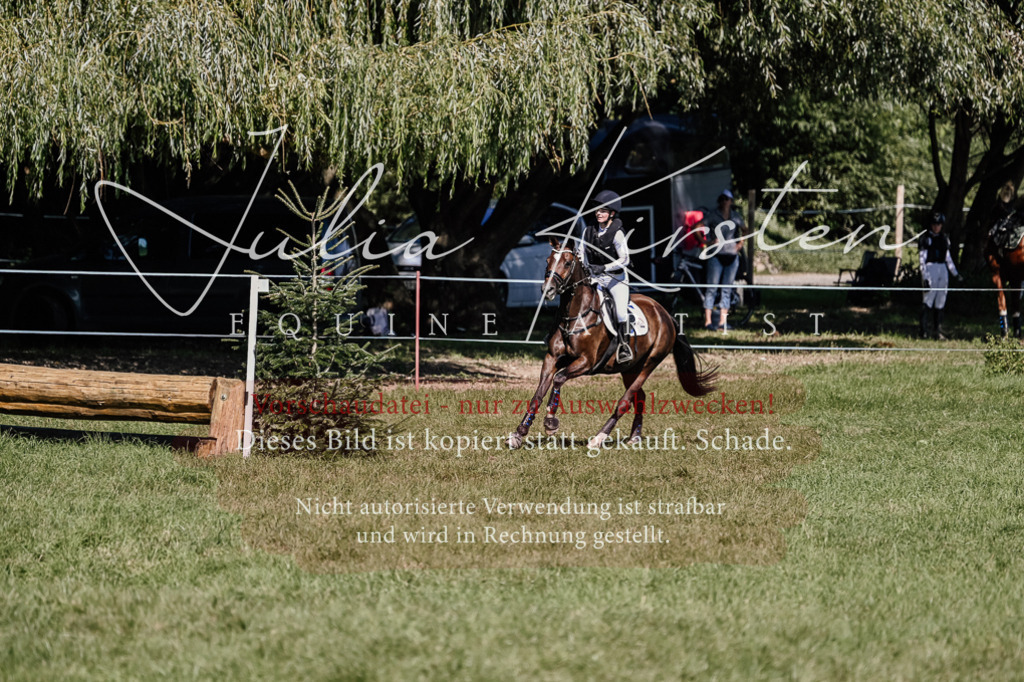 DSC_2746 | Pferde- und Turnierfotografie in Westsachsen. Pferdeportraits, Auftragszeichnungen und intuitive Kunst.