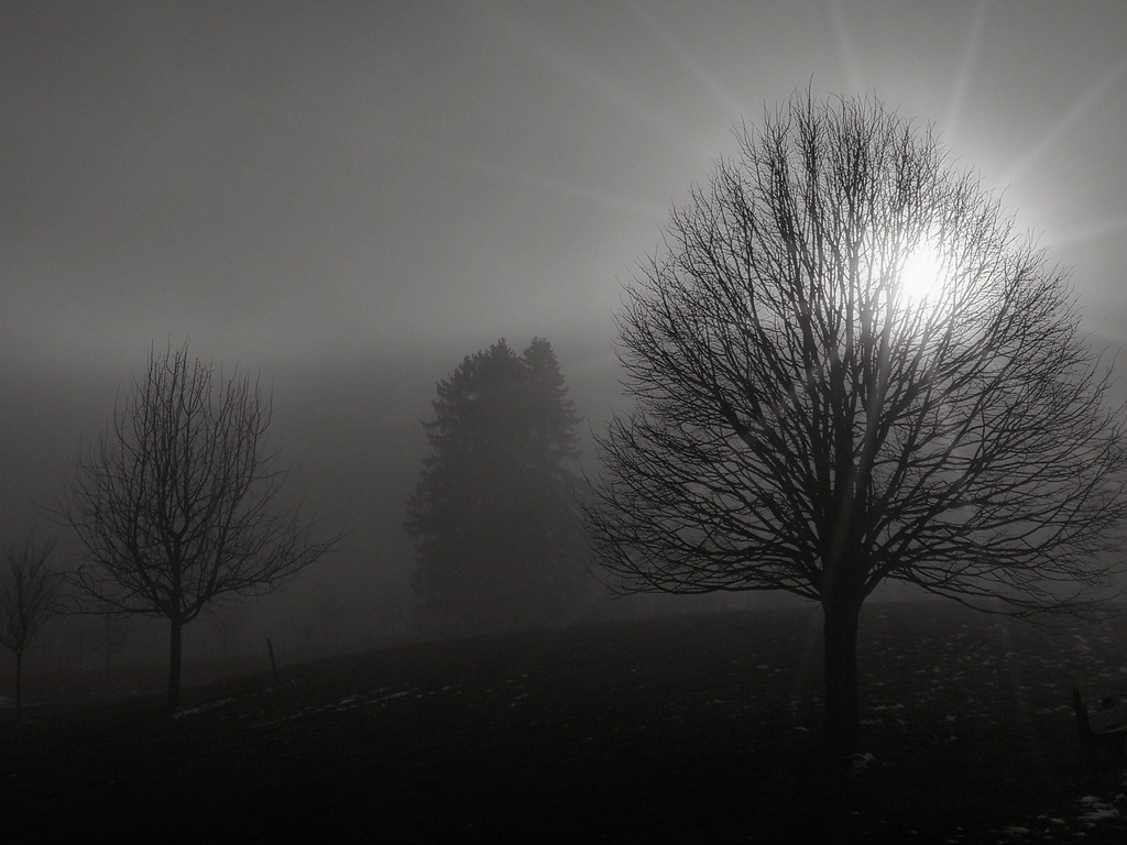 2020_01_23 IMG_2020 | bridgeman - Realisiert mit Pictrs.com