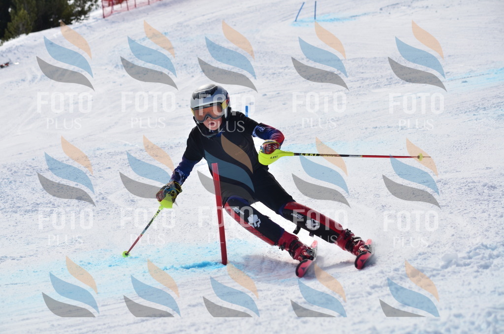 D0016 | holidayphoto