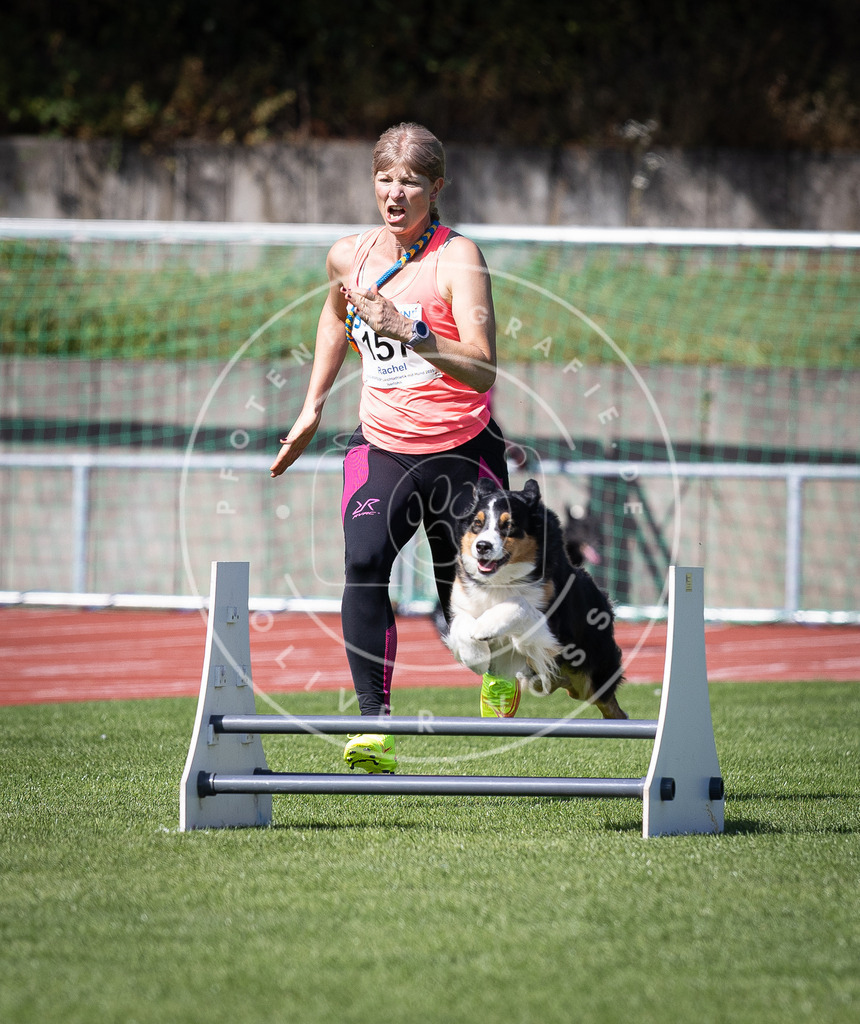 Pfotenfotografie_DV3A9539 | Hundefotografie, Tierfotograf, Pfotenfotografie, Fotoshooting Hund, Hunde Portrait, Hundesport, Hundeportraits, Heideshooting, Hunde, Sportfotograf, Hundefotograf, Turnierhundsport, THS,  - Realisiert mit Pictrs.com