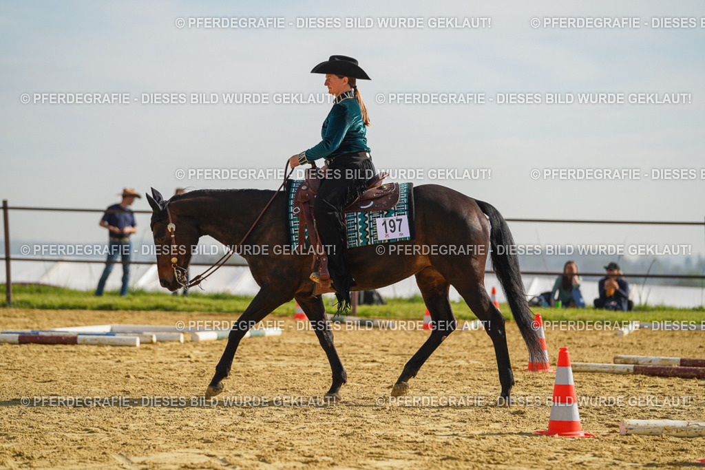 DSC01030 | Pferdegrafie