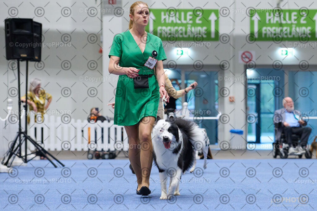 202406_ÖKV-IHA-Tulln24_DSC_3316 | proPHOTO - Realisiert mit Pictrs.com