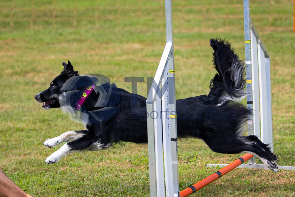 TP-20240815-0095 | Copyright: Trainproduction / Matthias Trinkl