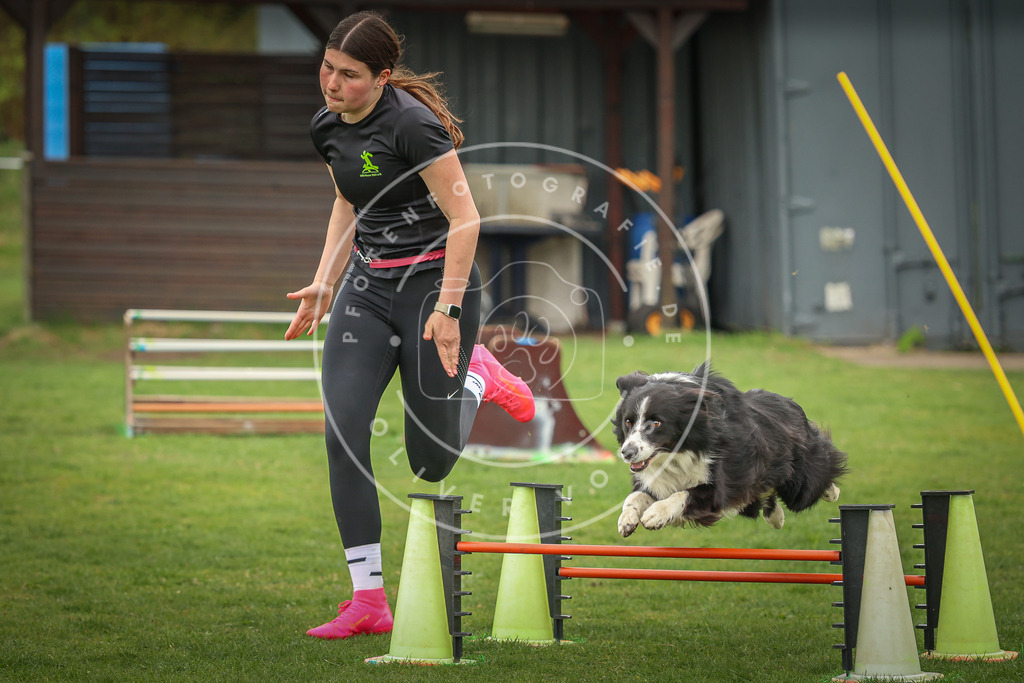 Pfotenfotografie_0L8A0815 | Hundefotografie, Tierfotograf, Pfotenfotografie, Fotoshooting Hund, Hunde Portrait, Hundesport, Hundeportraits, Heideshooting, Hunde, Sportfotograf, Hundefotograf, Turnierhundsport, THS,  - Realisiert mit Pictrs.com
