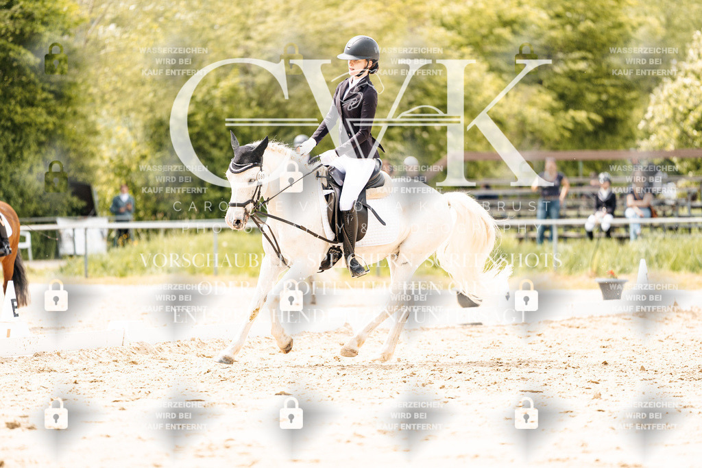 CK902240 | Turnierfotografie Pferdefotografie Trier Rheinland-Pfalz Pferdesport Reitsport Tierfotografie Sportfotografie Pferdevideo Pferdevideografie Equestrianvideography equestrianphotography  - Realisiert mit Pictrs.com