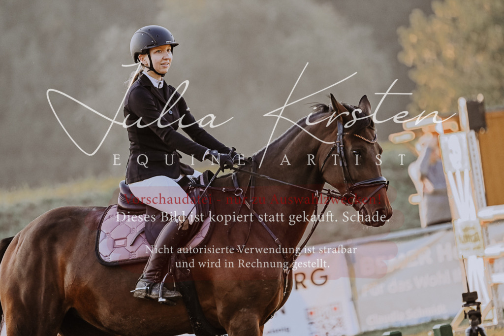 DSC_3773 | Pferde- und Turnierfotografie in Westsachsen. Pferdeportraits, Auftragszeichnungen und intuitive Kunst.