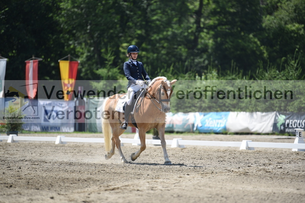 DSC_1002 | equestrian-live-com